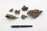 فيتنامي غابات دبل سوبر