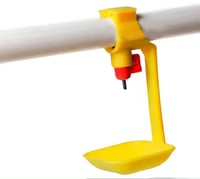 مشرب نبل عمود