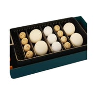 فقاسة بيض 10 بيضات أوتوماتيكية – تقليب تدحرجي وتحك...