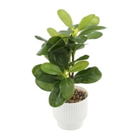 ورد صناعي بمركن بلاستيك ارتفاع 29 سم