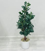 شجرة صناعي بقاعدة ارتفاع 87 سم