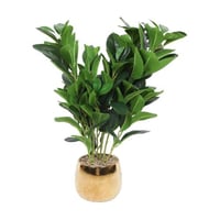 شجرة صناعي 50 سم بمركن ذهبي