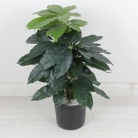 شجرة صناعي ارتفاع 63 سم