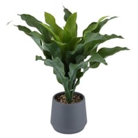 شجرة بمركن بلاستيك ارتفاع 120سم