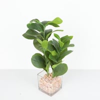 شجر صناعي بمركن زجاج ارتفاع 30سم