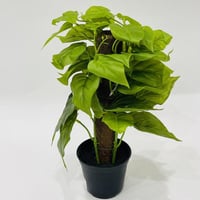 شجرة صناعي بمركن اسود ارتفاع30سم