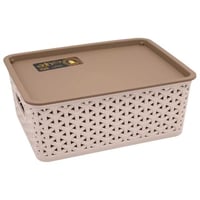 صندوق/علبة بلاستيك بيج بغطاء