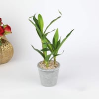 شجرة صناعي بمركن بلاستيك مقاس 28 سم