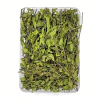 نعناع مديني