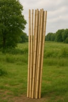 عصا بامبو بعدة اطوال