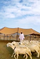 مظله بيت غنم شبك صيني 70 % 3 طبقات