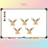 استراتيجية الطير السحري