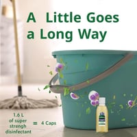 مطهر زوفلورا مركز للارضيات والاسطح مضاد للبكتيريا...