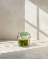 توزيعات اليوم الوطني- Heritage Rose Glow