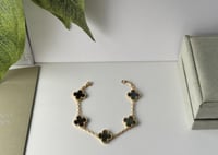 سوارة ڤان كليف