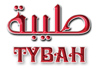 متجر طيبة