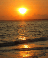 Canon Powershot a2500