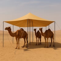 مظلة حلال, خيمة غنم, مقاس 8×6, كوري