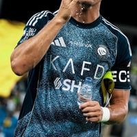 تيشيرت النصر الجديد 25-26 -متجر النجم