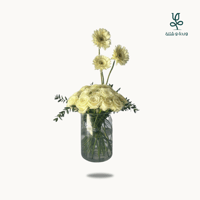 روز ابيض مع الجربيرا