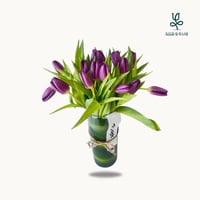 فازة التوليب