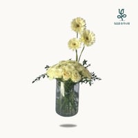 روز ابيض مع الجربيرا