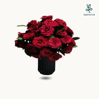 فازة جوري احمر