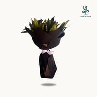 ليلي كزبلانكا