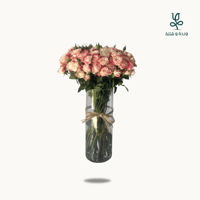 بيبي روز رفلكس