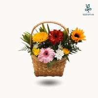 سلة صن فلاور