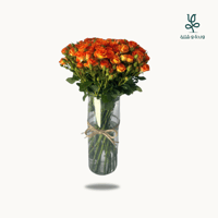 بيبي روز اورنج