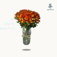 بيبي روز اورنج