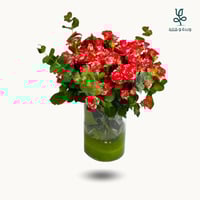 فازة بيبى روز