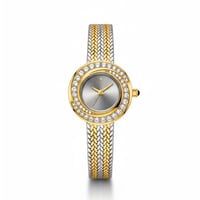 ساعة نسائية فاخرة ستيل لونين مينا الرصاصي AK5910L