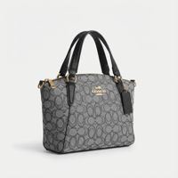 شنطة نسائية مميزة - 2832/1