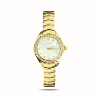 ساعة نسائيه فاخرة ذهبي مينا فضي R1024