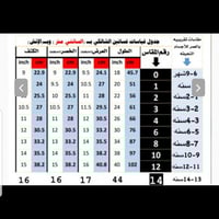 فستان بناتي لون اخضر مطرز سيفين ونخله