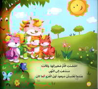 شيشي ذات الفرو الأحمر