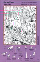 عالم الحيوان - سلسلة الصور المخفية - وسط