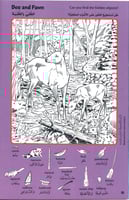 سلسلة الصور المخفية (4 كتب) - صغيرة