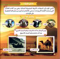 الحيوان في القران الكريم