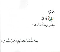 هل للكنغر ايضا ام ؟