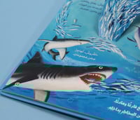 مملكة الحيوان - المحيط 3D