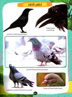 الموسوعة العلمية للأطفال قصص الحيوان في القران الك...