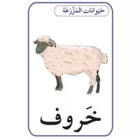 بطاقات أصالة: الحيوانات،الفواكه والخضار