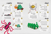 كرتونة البيض العجيبة 2