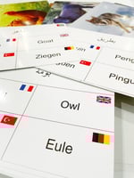 البطاقات الضمنية - الحيوانات