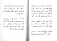 سر في الحقيبة