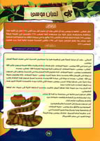 الموسوعة العلمية للأطفال قصص الحيوان في القران الك...