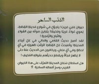 الذئب الساحر